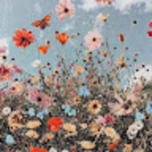 Meet your Posher, Rida